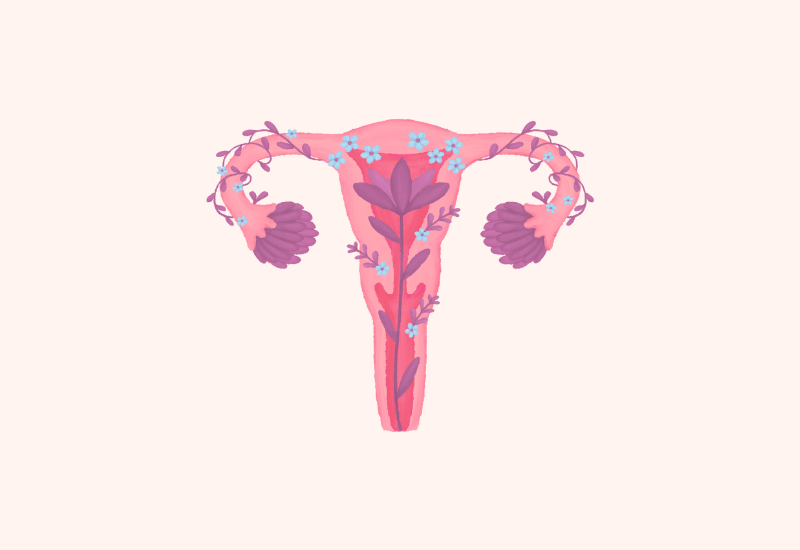 fertilité naturopathie