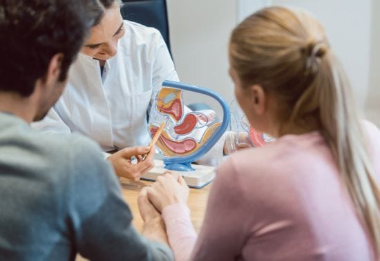 fertilité parcours pma