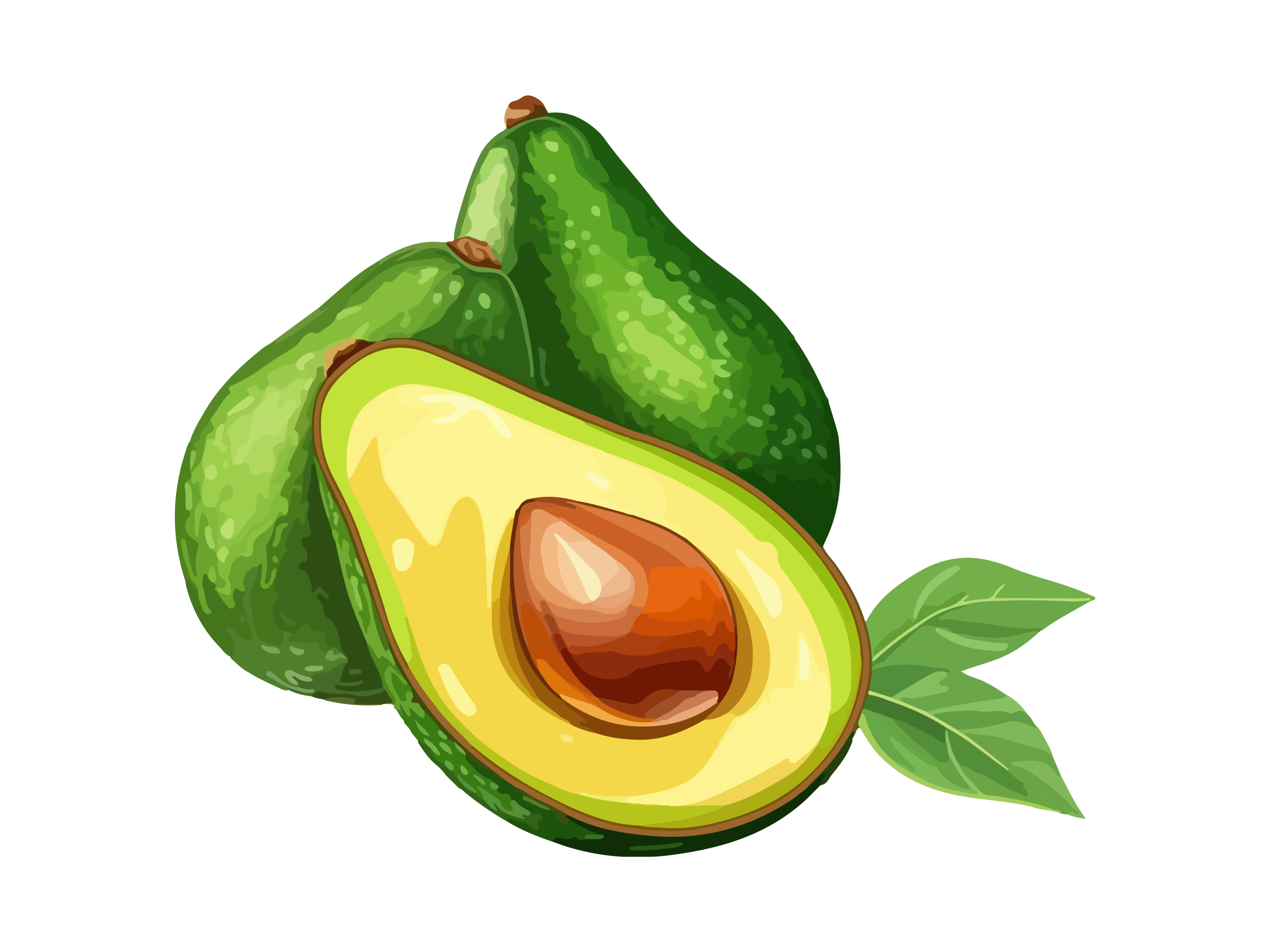 avocat bienfaits grossesse