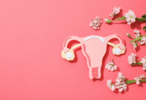 fertilité cycle menstruel hormones