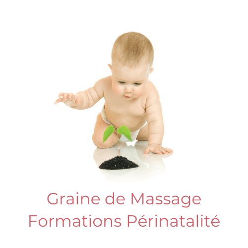 Graine de Massage Formations Périnatalité