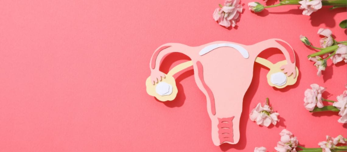 fertilité cycle menstruel hormones